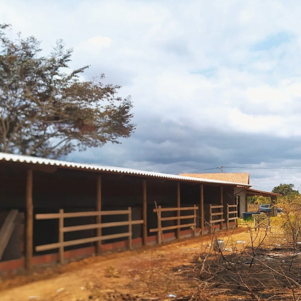 Projeto de baias para cavalo da Cavalares em Morro do Chapéu