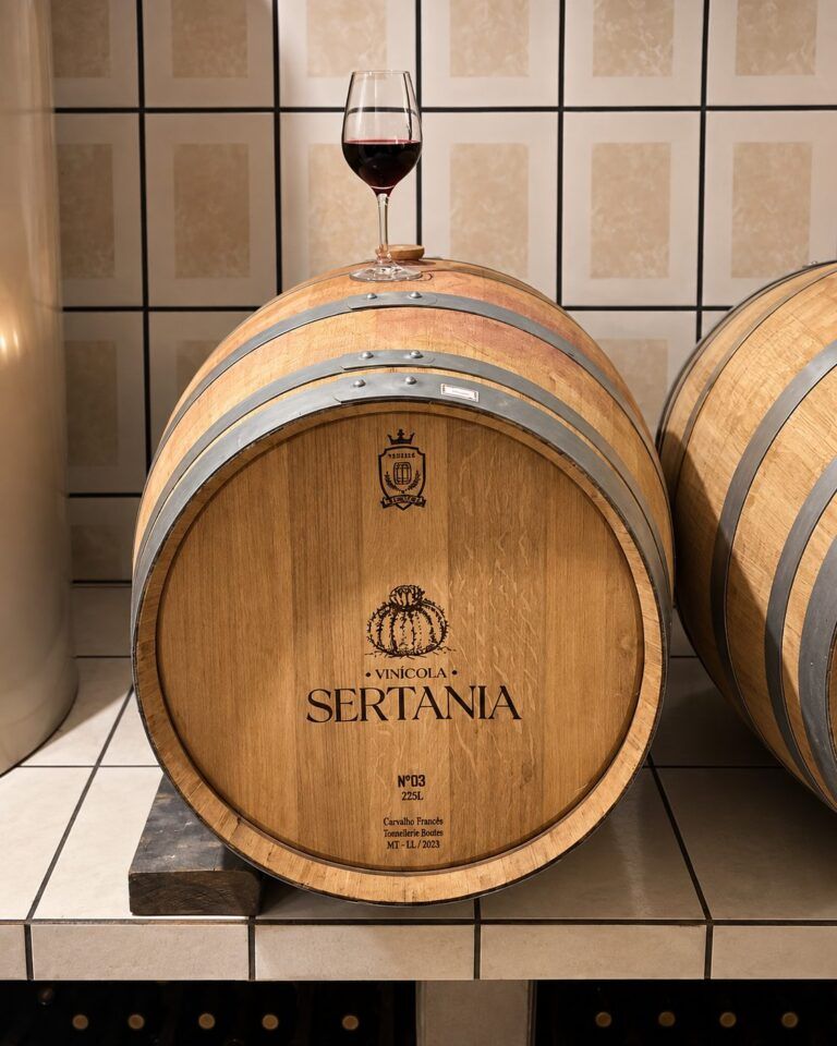 Barris de madeira com a marca da Vinícola Sertania