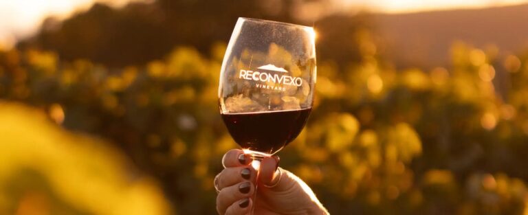 Taça de vinho tinto erguida diante do parreiral ao pôr do sol, na Vinícola Reconvexo