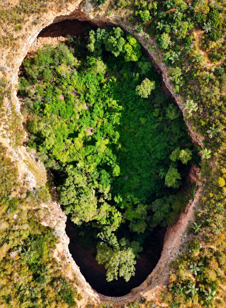 Vista aérea do Buraco do Possidônio, com mata densa no fundo da dolina e a borda de rocha cercada de caatinga
