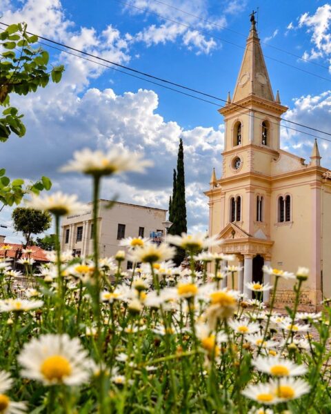 Igreja matriz de Morro do Chapéu com flores na praça em frente