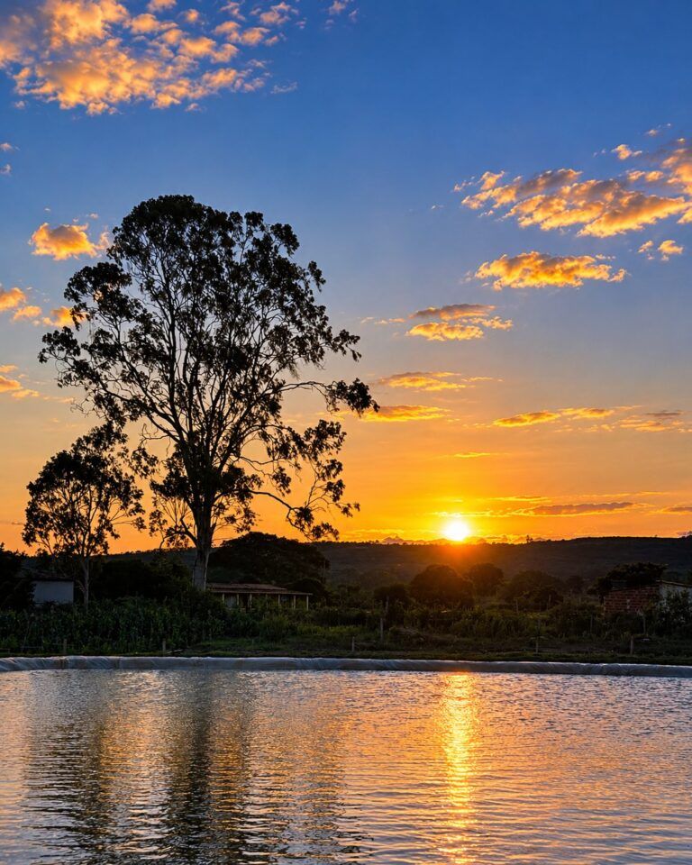 Árvore e lago ao pôr do sol na Vinícola Sertania