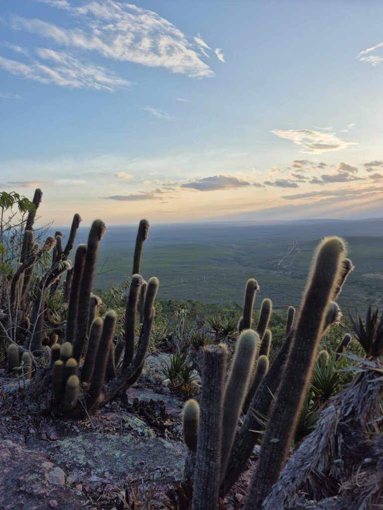 Vista do alto do Morrão, com a chapada ao redor