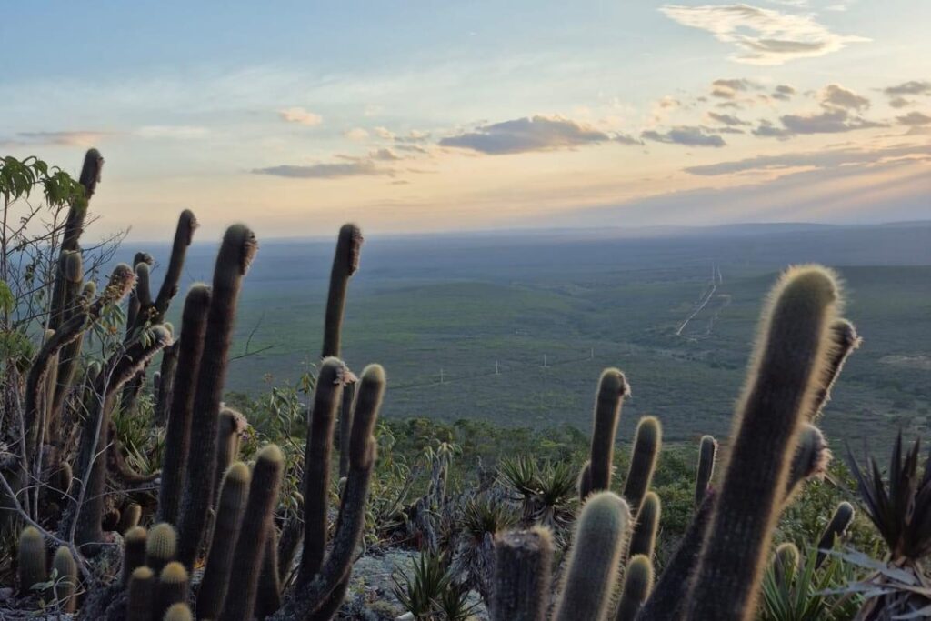 Vista da região a partir do alto do Morrão, em Morro do Chapéu, com cactos em primeiro plano