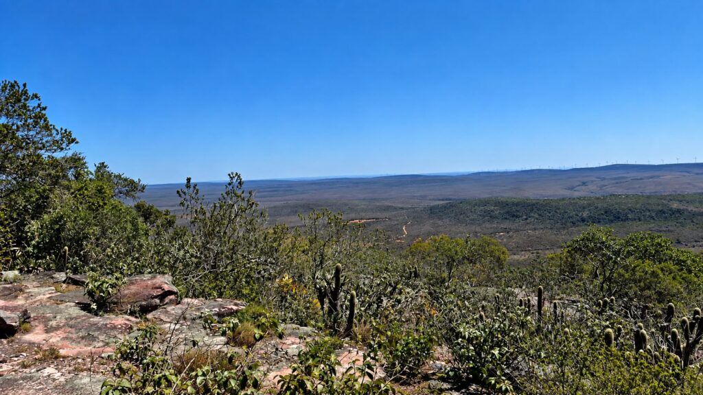 Vista do alto do Morrão, com cactos e pedras na frente e a planície ao fundo, em Morro do Chapéu