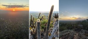 Trilha do Morrão: pôr do sol, cactos e pedras no alto do Morrão, em Morro do Chapéu