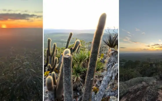 Trilha do Morrão: pôr do sol, cactos e pedras no alto do Morrão, em Morro do Chapéu