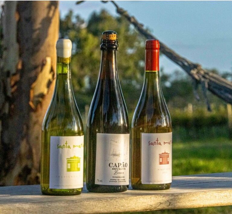 Garrafas dos vinhos Capão sobre uma mesa ao ar livre
