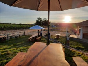Wine Garden da Vinícola Reconvexo ao entardecer
